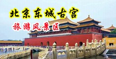 日韩帅哥多毛的肛门图片中国北京-东城古宫旅游风景区